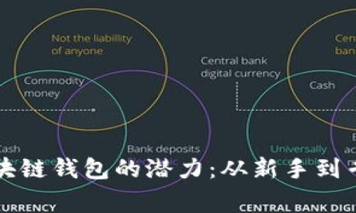 一步步解锁区块链钱包的潜力：从新手到专家的必备指南