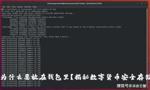 虚拟币为什么要放在钱包里？揭秘数字货币安全存储的秘密