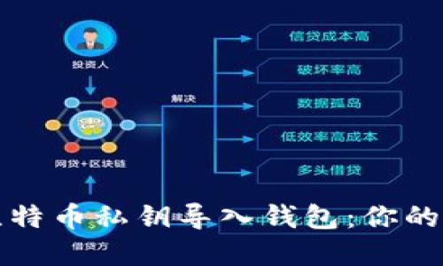 如何安全地将比特币私钥导入钱包：你的数字资产保卫战