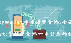 如何在tpWallet中查看资金池：全面指南tpWallet：掌