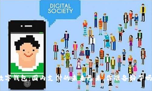 数字钱包：国内支付的未来已来，你准备好了吗？