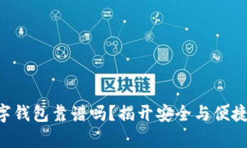 国际数字钱包靠谱吗？揭开安全与便捷的真相！