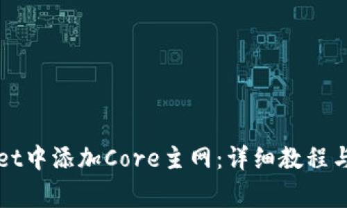 如何在tpWallet中添加Core主网：详细教程与常见问题解答