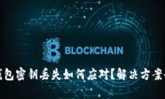 加密钱包密钥丢失如何应对？解决方案全解析