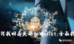如何找回丢失的tpWallet：全面指南