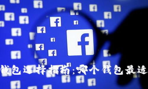 USDT钱包选择指南：哪个钱包最适合你？