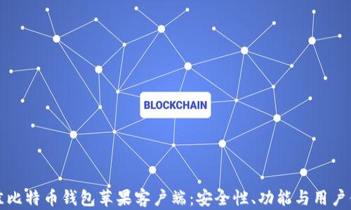 
如何选择最佳比特币钱包苹果客户端：安全性、功能与用户体验全面解析