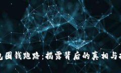 比特币钱包圈钱跑路：揭露背后的真相与投资者