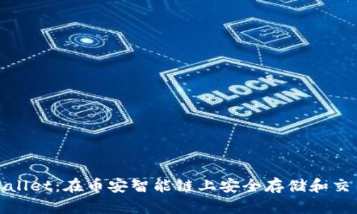 全面解析tpWallet：在币安智能链上安全存储和交易的最佳选择