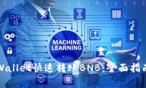 如何使用tpWallet快速转账BNB：全面指南与注意事项