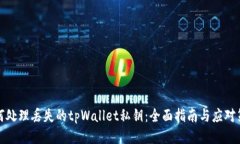 如何处理丢失的tpWallet私钥：全面指南与应对策略