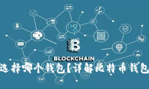 最早买比特币应选择哪个钱包？详解比特币钱包的选择与安全性