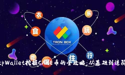 tpWallet挖掘CAKE币的全攻略：从基础到进阶