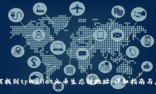 如何找到tpWallet火币生态链地址：详细指南与应用