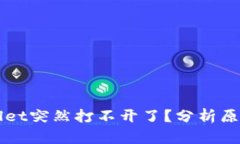 为什么tpWallet突然打不开了？分析原因与解决方案