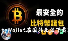 如何解决tpWallet在国外无法下载ID的问题