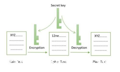 如何将Doggy币提到TPWallet：完整指南