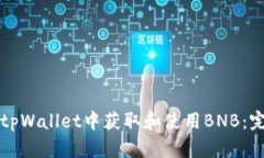 如何在tpWallet中获取和使用BNB：完整指南