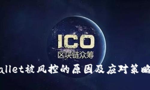 tpWallet被风控的原因及应对策略解析