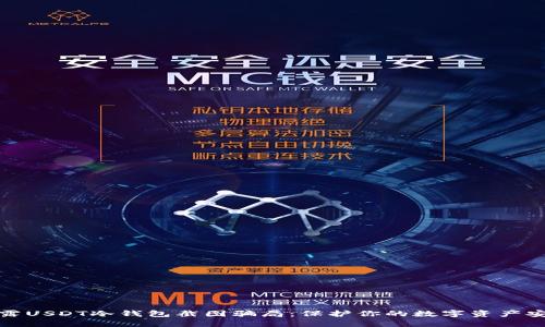 揭露USDT冷钱包截图骗局：保护你的数字资产安全