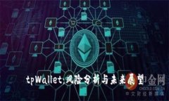 tpWallet：风险分析与未来展望