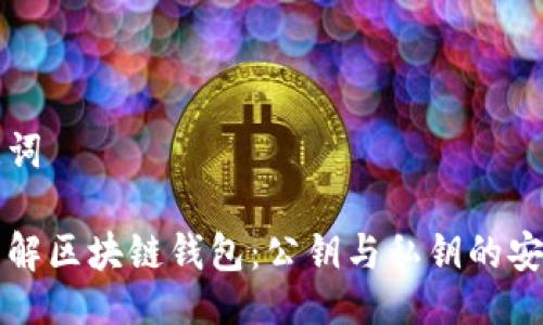 与关键词

深入了解区块链钱包：公钥与私钥的安全管理