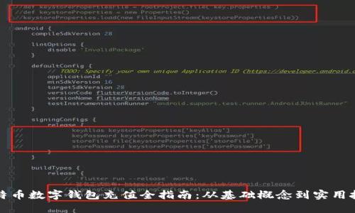 比特币数字钱包充值全指南：从基础概念到实用技巧