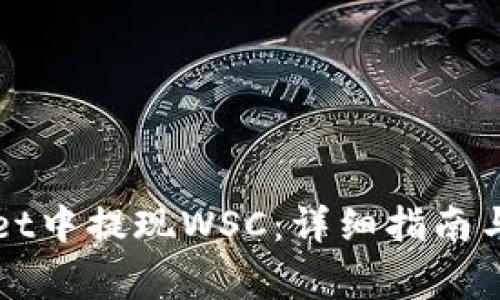 如何在tpWallet中提现WSC：详细指南与常见问题解答