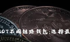 全面解析USDT不同链路钱包：选择最佳存储方案