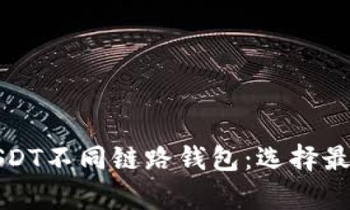 全面解析USDT不同链路钱包：选择最佳存储方案