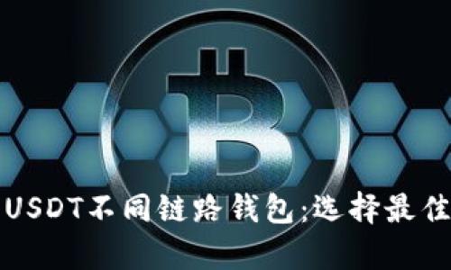 全面解析USDT不同链路钱包：选择最佳存储方案