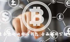 如何选择适合你的比特币钱包：全面解析公链与