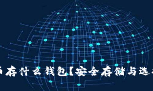 狗狗币存什么钱包？安全存储与选择指南