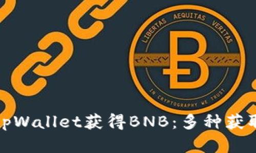 如何通过tpWallet获得BNB：多种获取方式详解