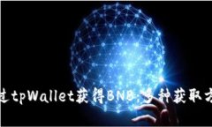 如何通过tpWallet获得BNB：多种获取方式详解