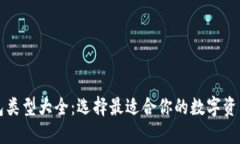 比特币钱包类型大全：选择最适合你的数字资产