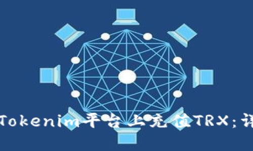 如何在Tokenim平台上充值TRX：详细指南