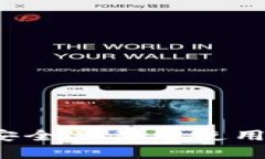 加密钱包哪个更安全且易于使用？全面解析与推