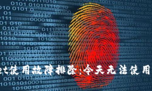 tpWallet使用故障排除：今天无法使用怎么办？