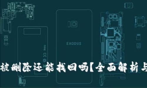 tpWallet被删除还能找回吗？全面解析与恢复方法