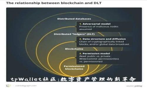 tpWallet社区：数字资产管理的新革命