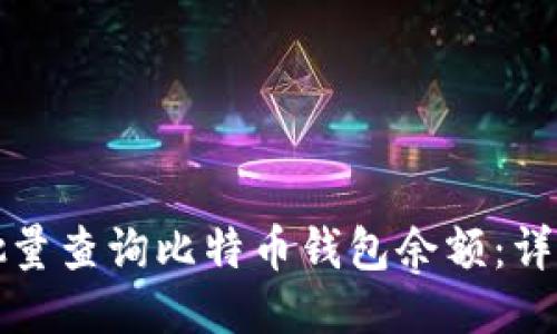 如何批量查询比特币钱包余额：详细指南