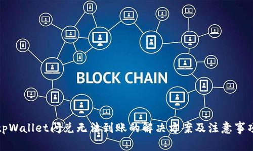 tpWallet闪兑无法到账的解决方案及注意事项