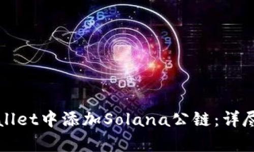 如何在tpWallet中添加Solana公链：详尽指南与技巧