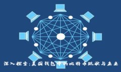 深入探索：美国钱包中的