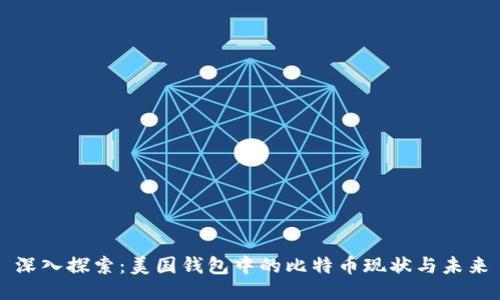 深入探索：美国钱包中的比特币现状与未来
