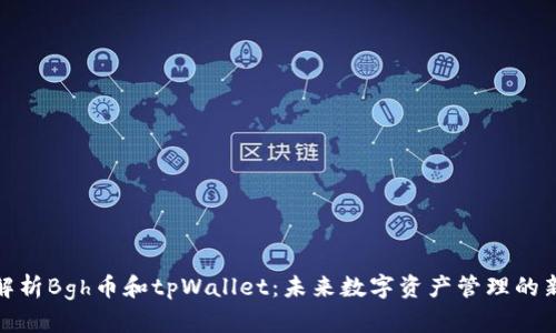 完整解析Bgh币和tpWallet：未来数字资产管理的新选择