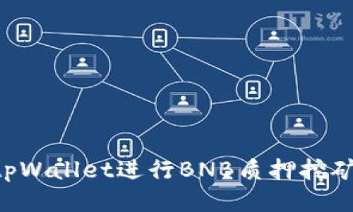 如何使用tpWallet进行BNB质押挖矿：全面指南