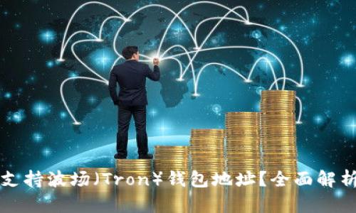 TP钱包是否支持波场（Tron）钱包地址？全面解析与使用指南
