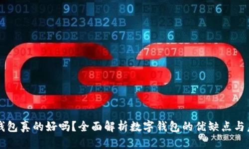 用数字钱包真的好吗？全面解析数字钱包的优缺点与未来发展